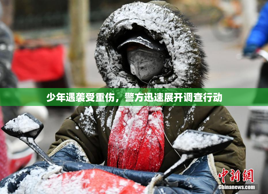 少年遇袭受重伤，警方迅速展开调查行动