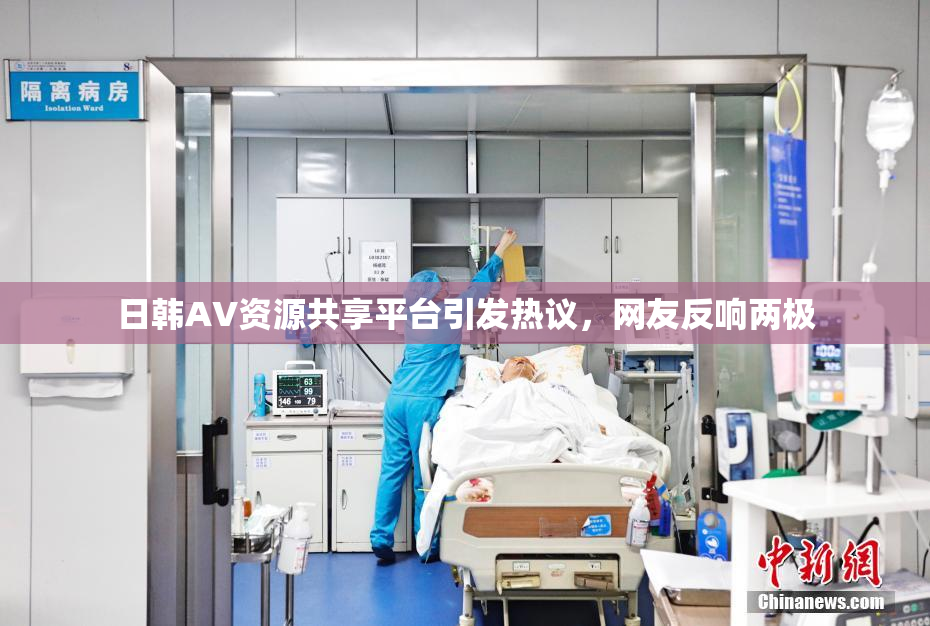 日韩AV资源共享平台引发热议，网友反响两极
