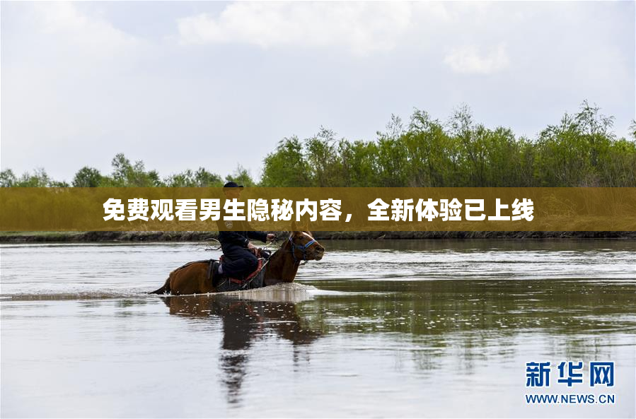 免费观看男生隐秘内容，全新体验已上线