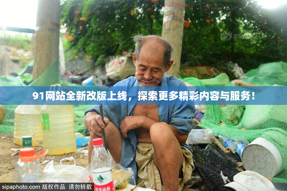 91网站全新改版上线，探索更多精彩内容与服务！