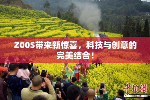 Z00S带来新惊喜，科技与创意的完美结合！