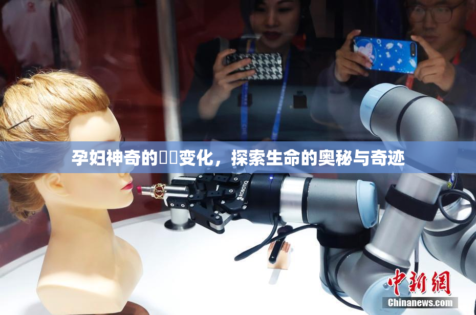 孕妇神奇的乂乄变化，探索生命的奥秘与奇迹