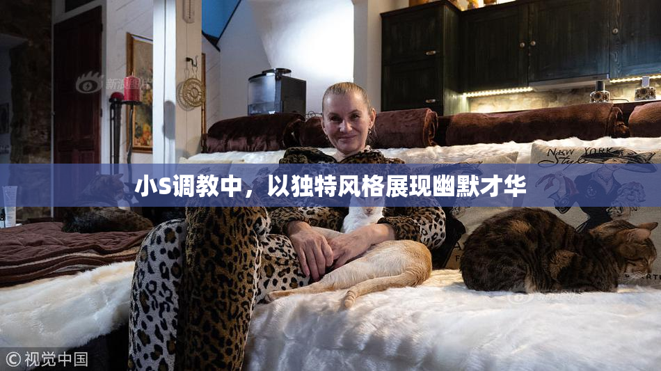 小S调教中，以独特风格展现幽默才华