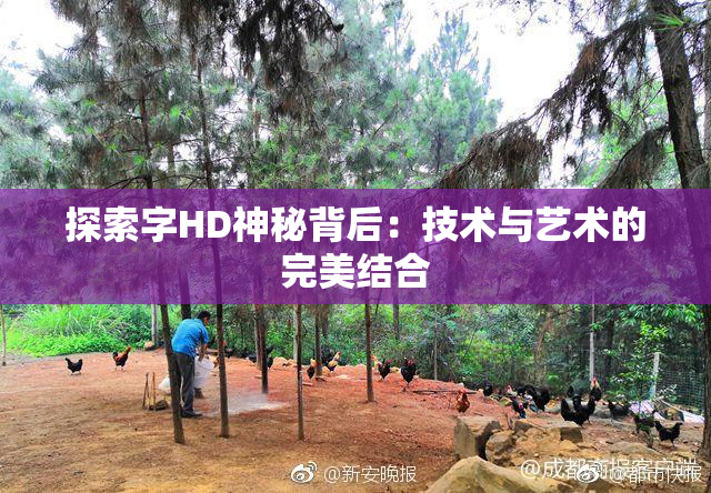 探索字HD神秘背后：技术与艺术的完美结合