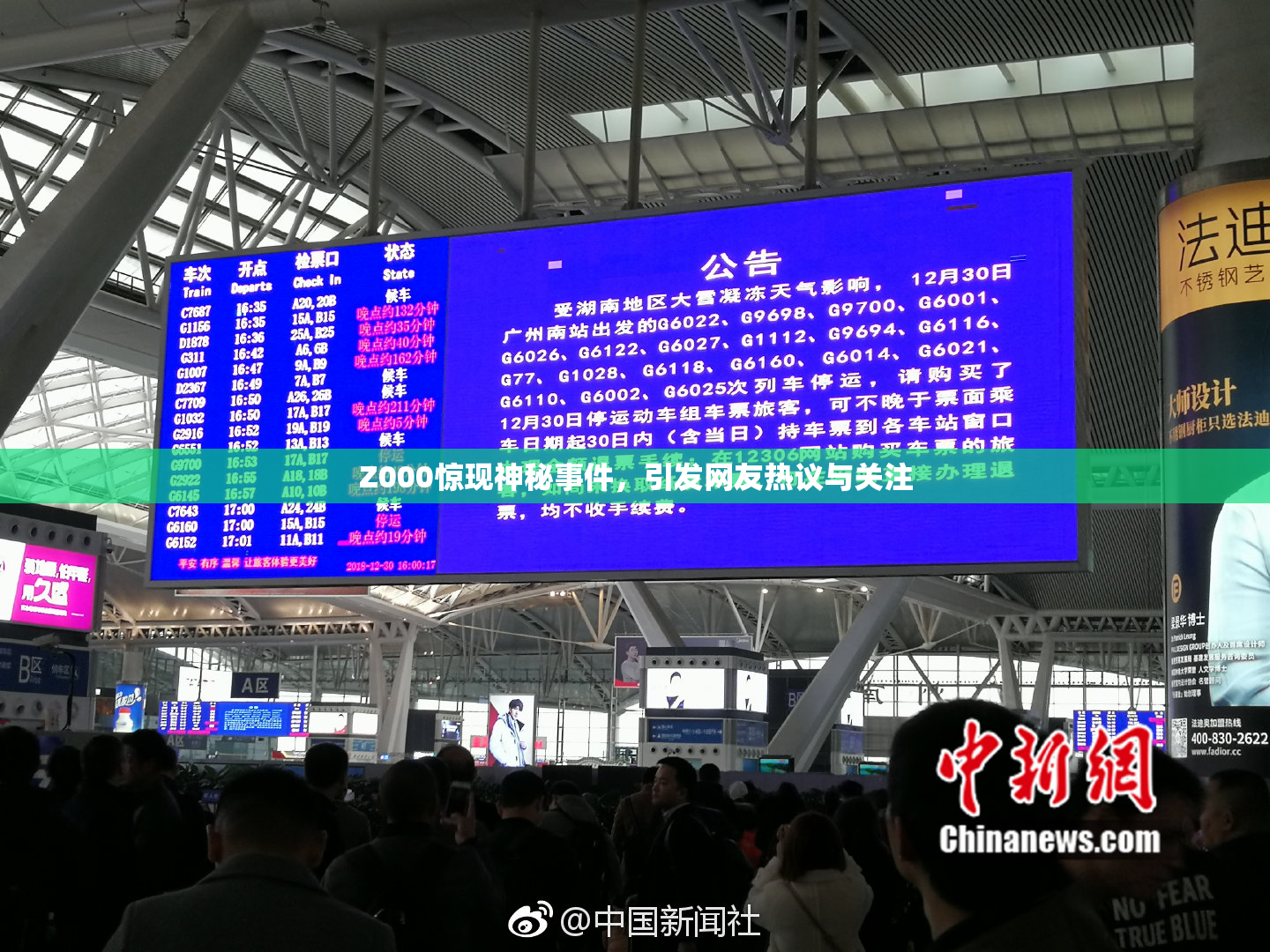 Z000惊现神秘事件，引发网友热议与关注