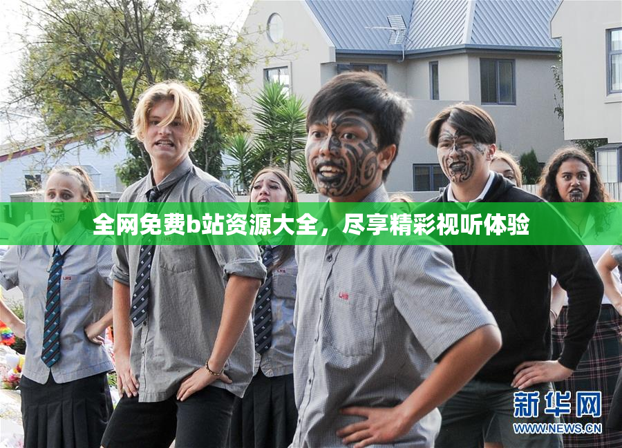 全网免费b站资源大全，尽享精彩视听体验