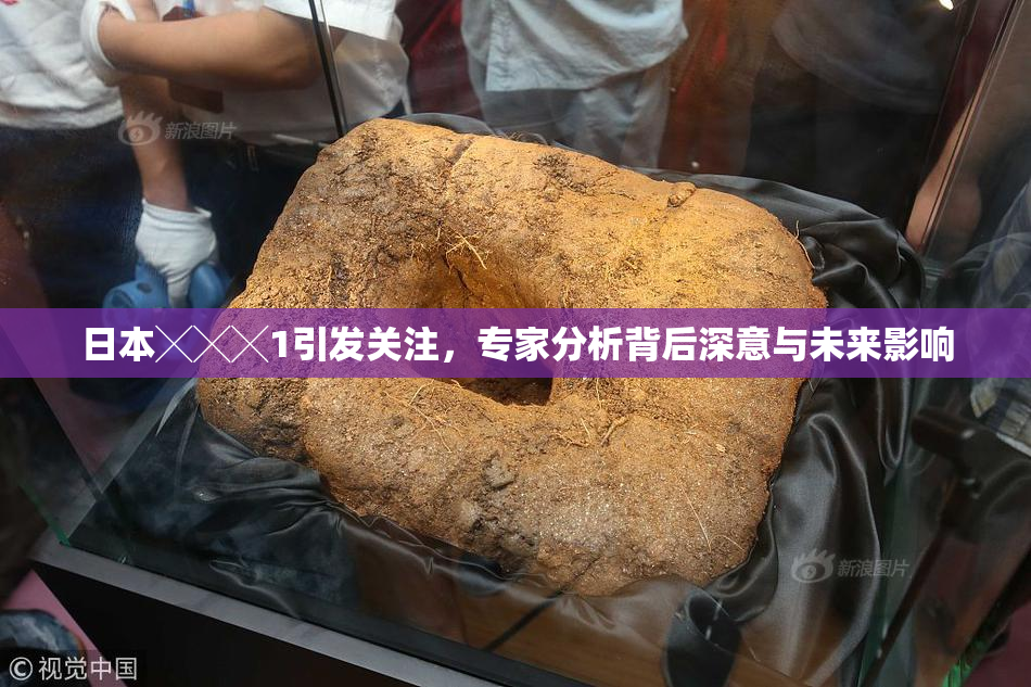 日本╳╳╳1引发关注，专家分析背后深意与未来影响
