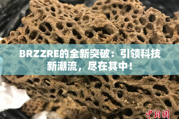 BRZZRE的全新突破：引领科技新潮流，尽在其中！