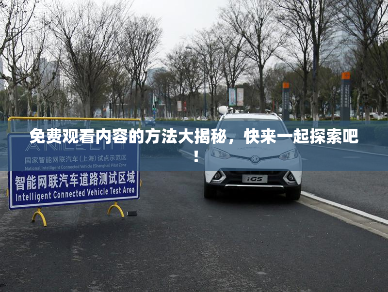 免费观看内容的方法大揭秘，快来一起探索吧！