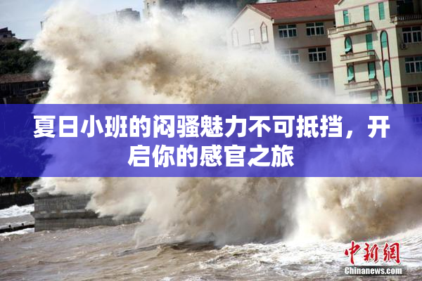 夏日小班的闷骚魅力不可抵挡，开启你的感官之旅