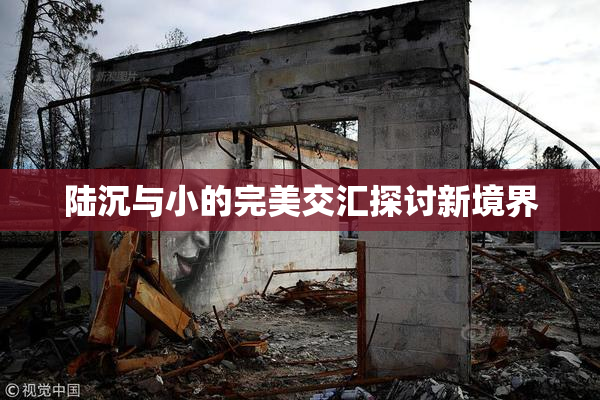 陆沉与小的完美交汇探讨新境界