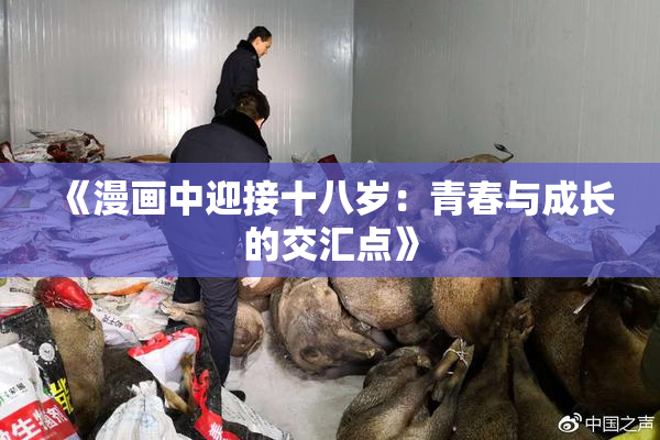 《漫画中迎接十八岁：青春与成长的交汇点》