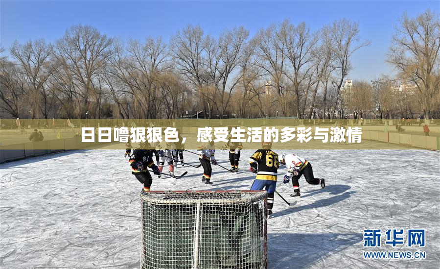 日日噜狠狠色，感受生活的多彩与激情