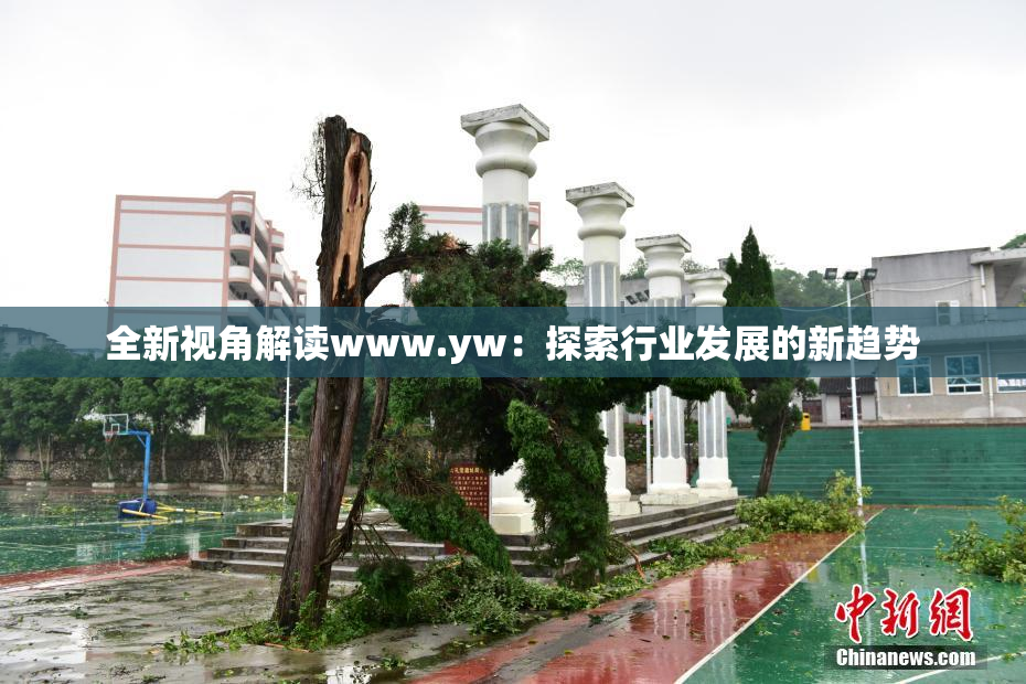 全新视角解读www.yw：探索行业发展的新趋势