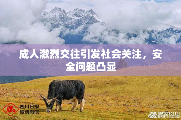 成人激烈交往引发社会关注，安全问题凸显
