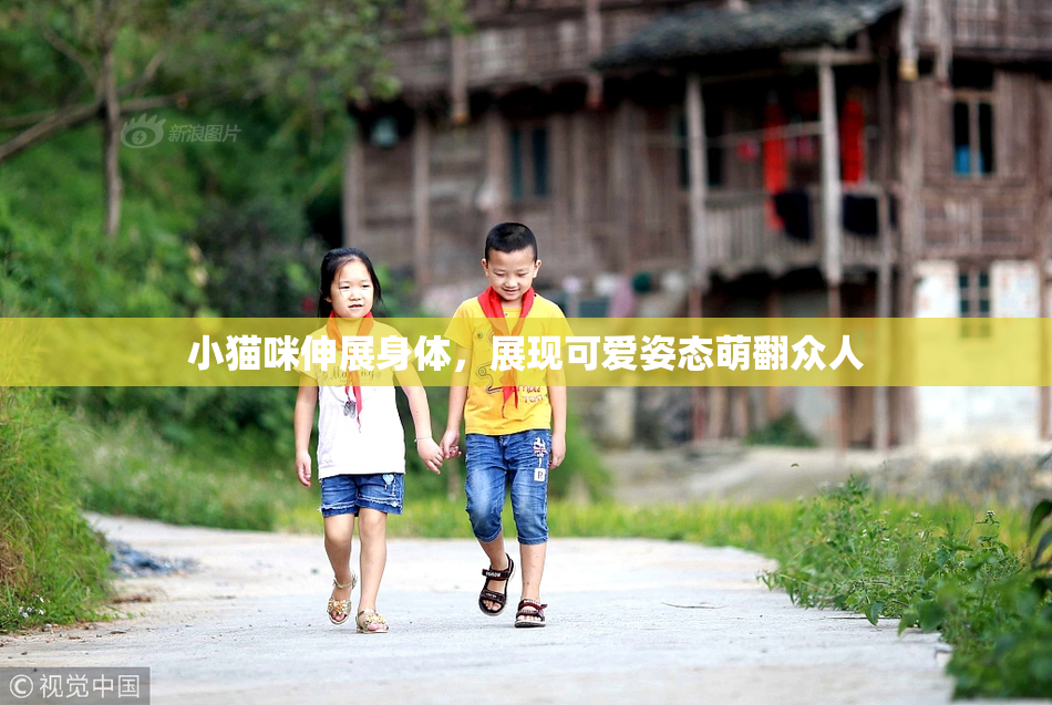 小猫咪伸展身体，展现可爱姿态萌翻众人