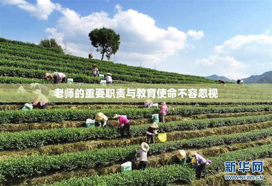 老师的重要职责与教育使命不容忽视