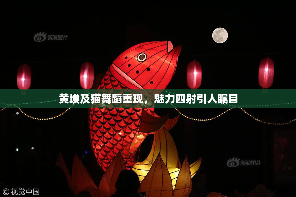 黄埃及猫舞蹈重现，魅力四射引人瞩目