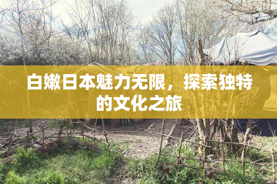 白嫩日本魅力无限，探索独特的文化之旅