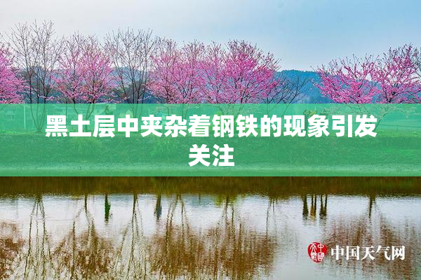 黑土层中夹杂着钢铁的现象引发关注