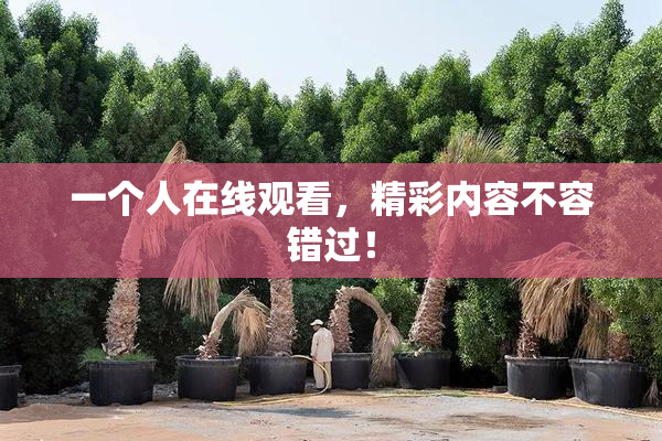 一个人在线观看，精彩内容不容错过！