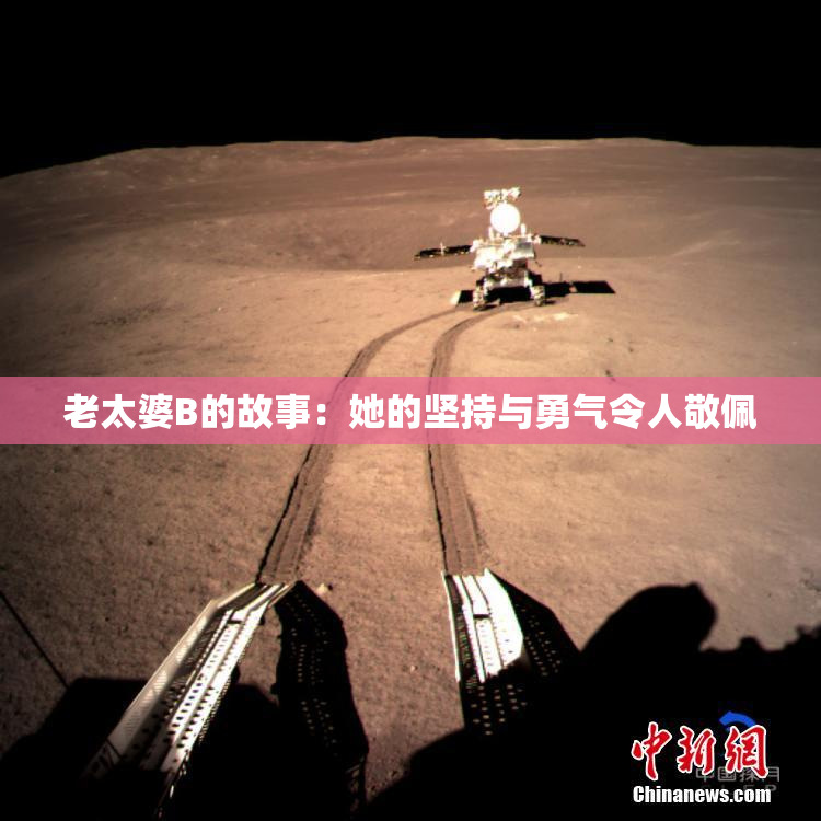 老太婆B的故事：她的坚持与勇气令人敬佩