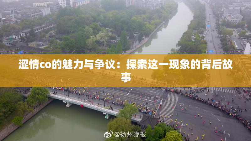 涩情co的魅力与争议：探索这一现象的背后故事