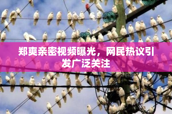 郑爽亲密视频曝光，网民热议引发广泛关注