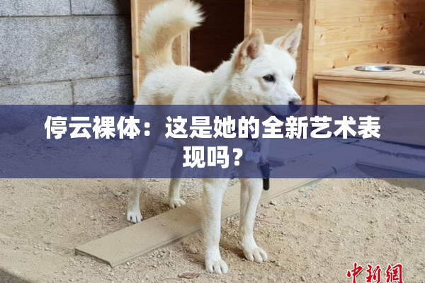停云裸体：这是她的全新艺术表现吗？