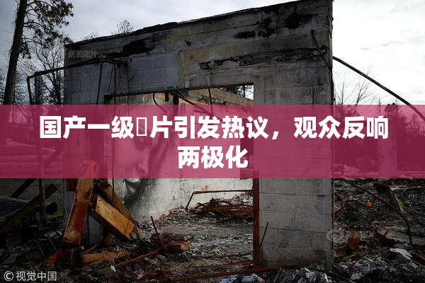 国产一级婬片引发热议，观众反响两极化