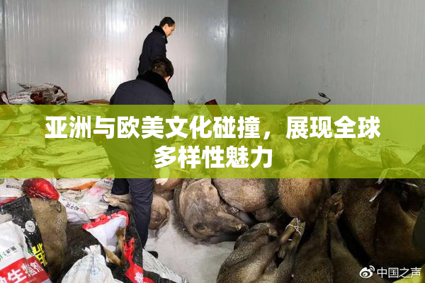 亚洲与欧美文化碰撞，展现全球多样性魅力