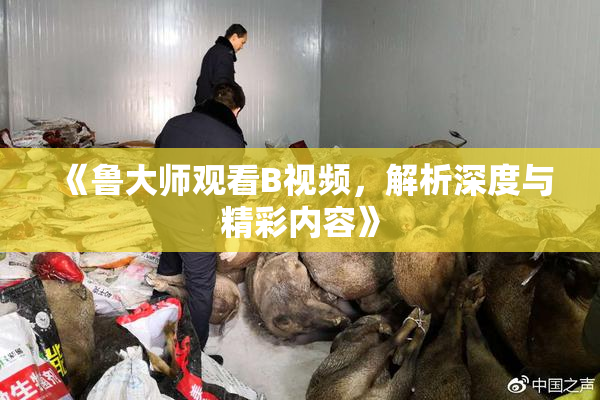 《鲁大师观看B视频，解析深度与精彩内容》