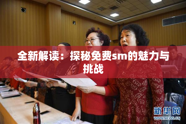 全新解读：探秘免费sm的魅力与挑战
