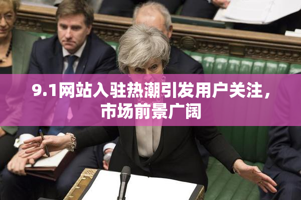 9.1网站入驻热潮引发用户关注，市场前景广阔