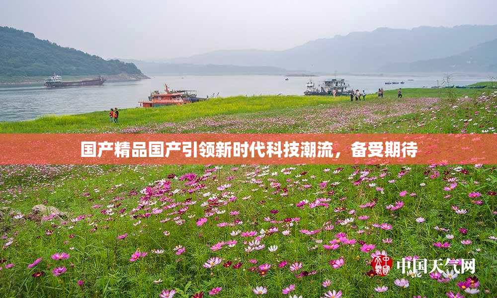 国产精品国产引领新时代科技潮流，备受期待
