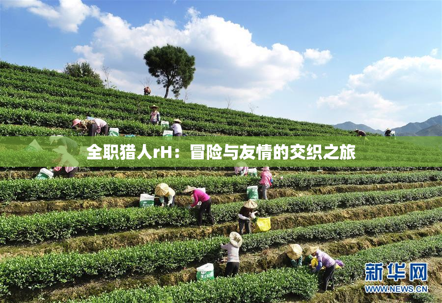 全职猎人rH：冒险与友情的交织之旅
