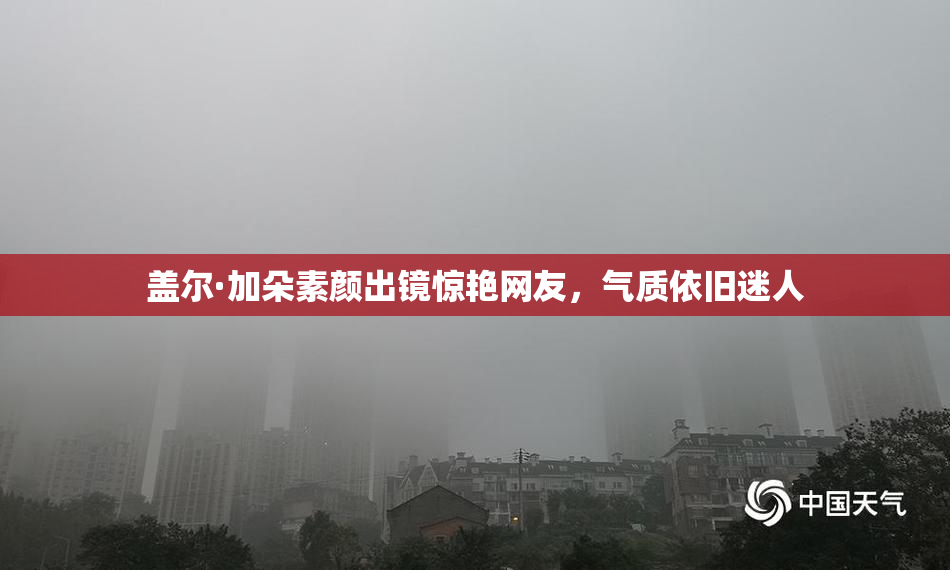 盖尔·加朵素颜出镜惊艳网友，气质依旧迷人