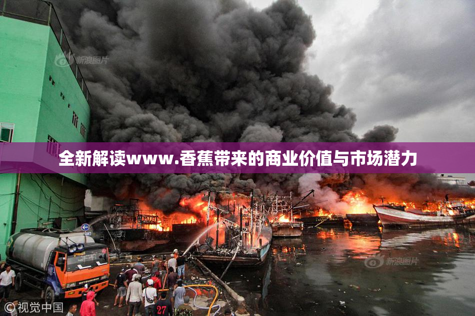 全新解读www.香蕉带来的商业价值与市场潜力