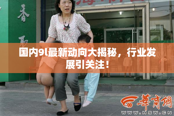 国内9l最新动向大揭秘，行业发展引关注！