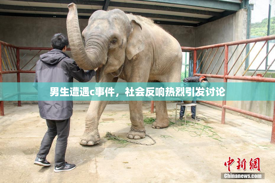 男生遭遇c事件，社会反响热烈引发讨论
