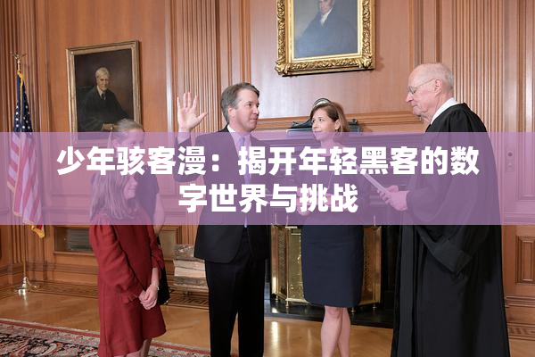 少年骇客漫：揭开年轻黑客的数字世界与挑战