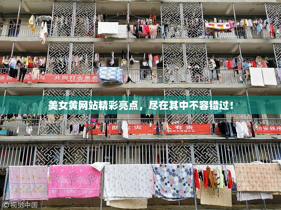 美女黄网站精彩亮点，尽在其中不容错过！