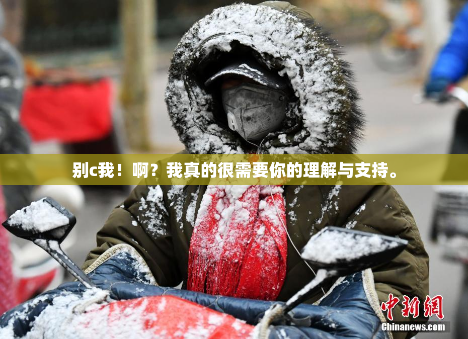 别c我！啊？我真的很需要你的理解与支持。