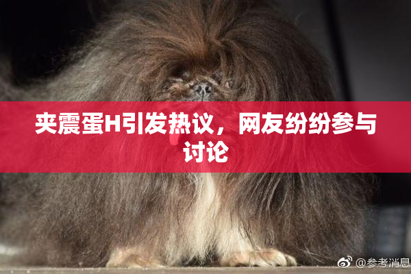 夹震蛋H引发热议，网友纷纷参与讨论
