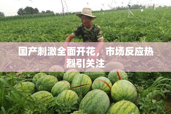 国产刺激全面开花，市场反应热烈引关注