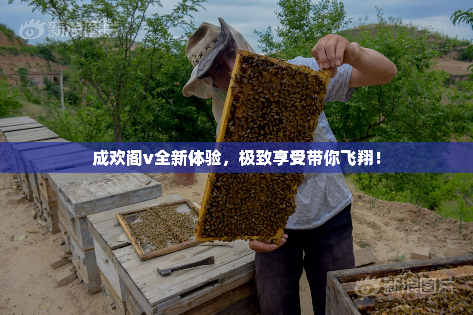 成欢阁v全新体验，极致享受带你飞翔！