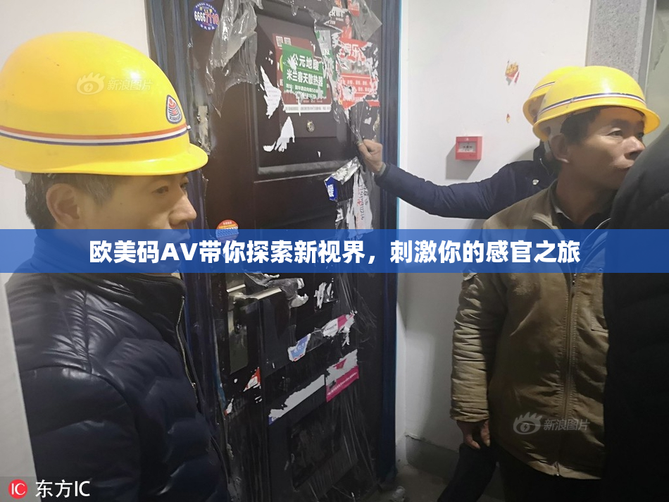欧美码AV带你探索新视界，刺激你的感官之旅
