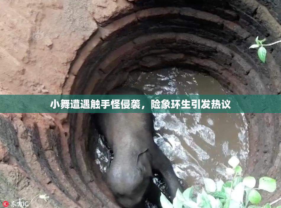 小舞遭遇触手怪侵袭，险象环生引发热议
