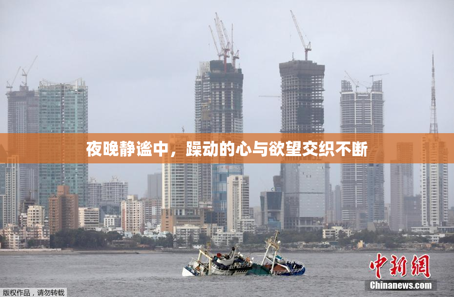 夜晚静谧中，躁动的心与欲望交织不断