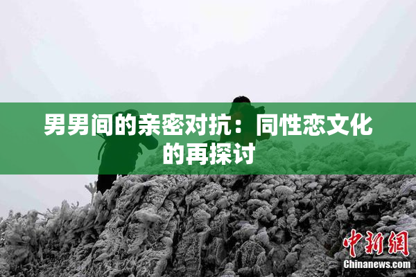 男男间的亲密对抗：同性恋文化的再探讨